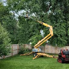 Best Hedge Trimming  in Bridgeport, PA