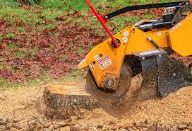 Best Seasonal Cleanup (Spring/Fall)  in Bridgeport, PA